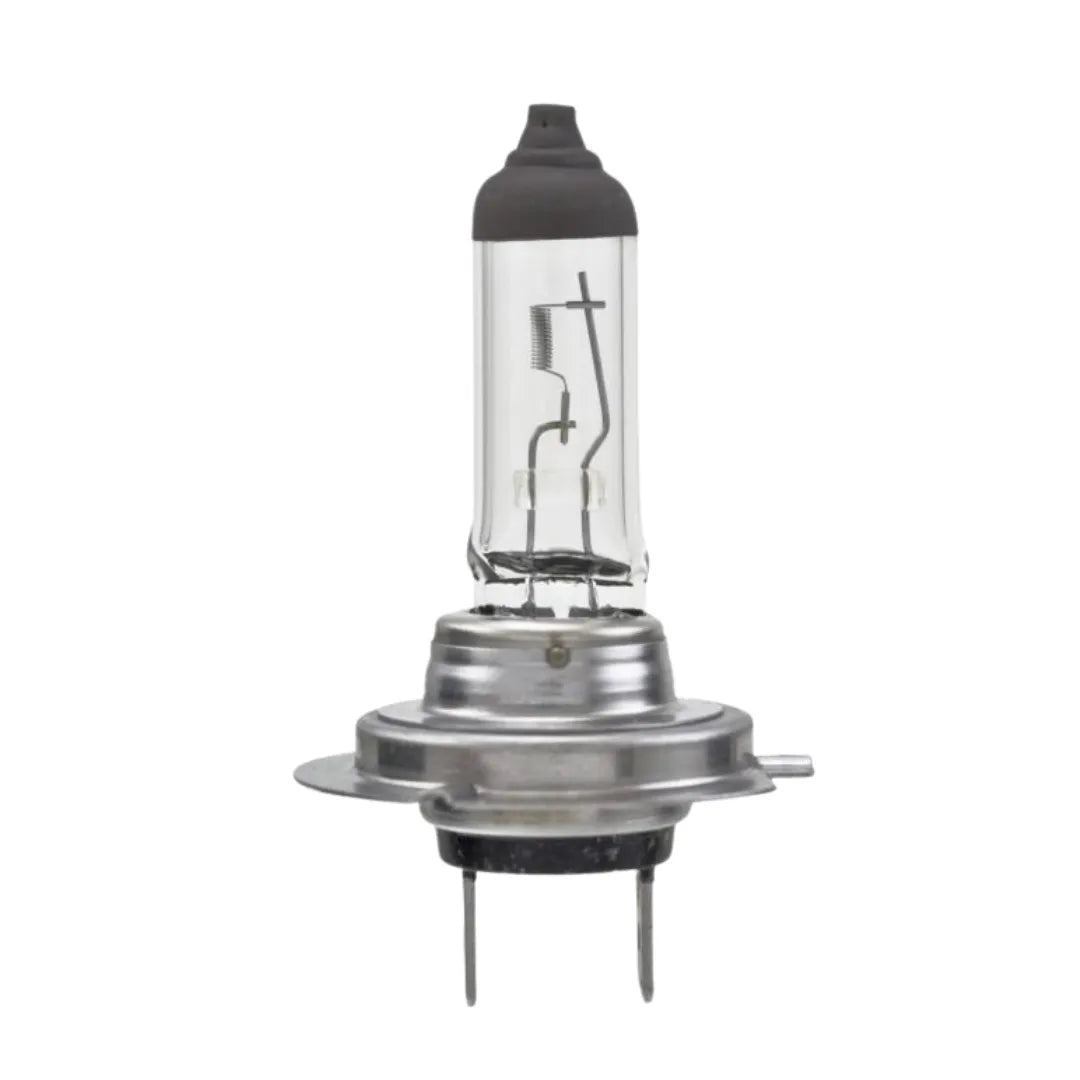Ampolleta H7 24v 70w - CARGOTEK